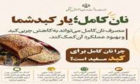 نان کامل؛ یار کبد شما